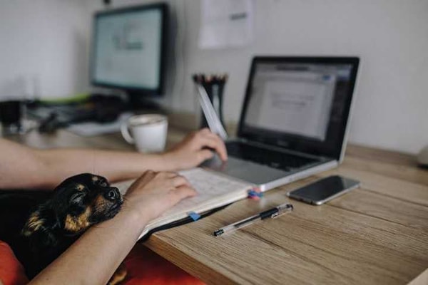 Poradnik WordPress na 2026 – Co to jest WordPress? Jak zacząć?